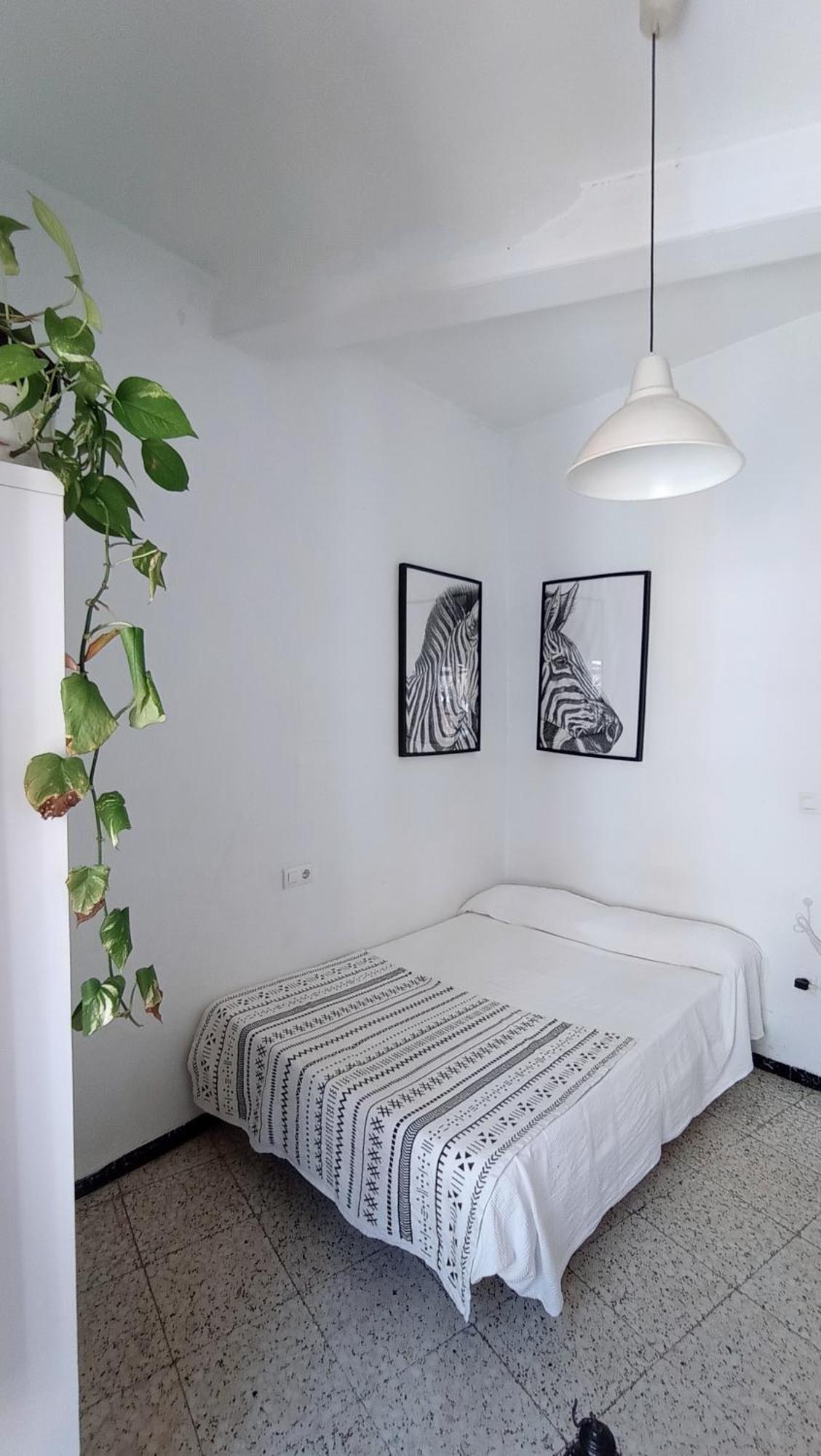 Séjour chez l'habitant Preciosa En Pleno Centro De Ideal Hacer Turismo Y Vivir La Ciudad Séville