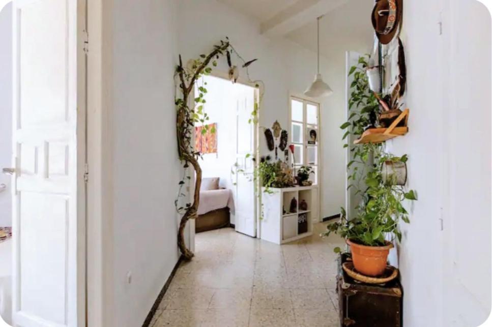 Preciosa En Pleno Centro De Ideal Hacer Turismo Y Vivir La Ciudad Séjour chez l'habitant *